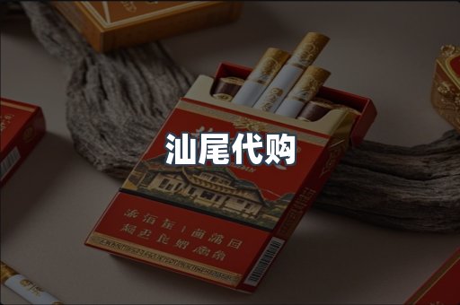 汕尾代购